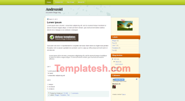 androzoid blogger template