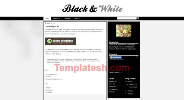 black and white blogger template
