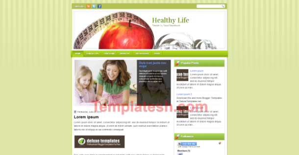 healthy life blogger template