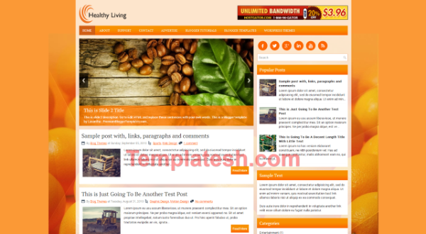 healthy living blogger template