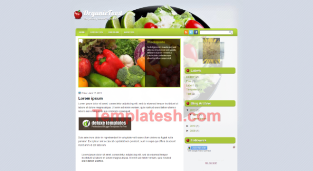 organic food blogger template