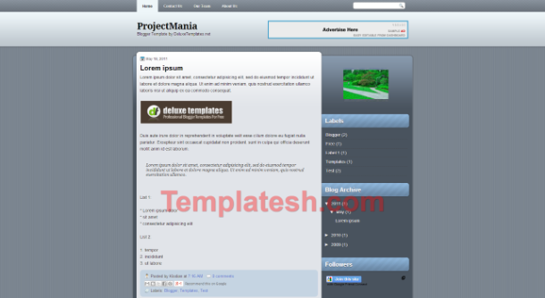 project mania blogger template