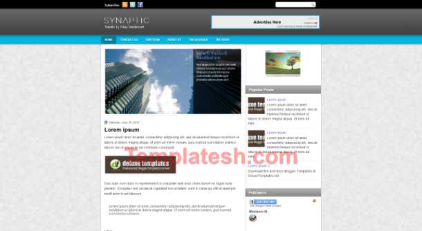 synaptic blogger template