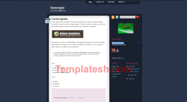 synergie blogger template