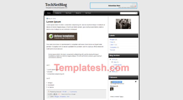 tech net blog blogger template