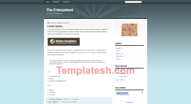 the enterprised blogger template