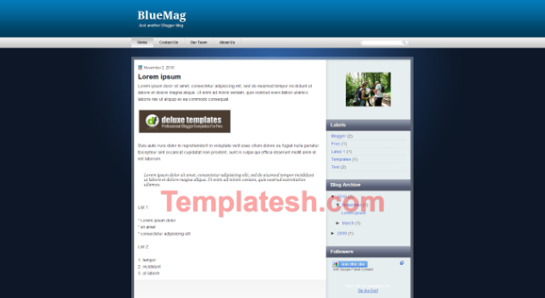 blue mag blogger template