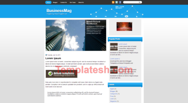 business mag blogger template