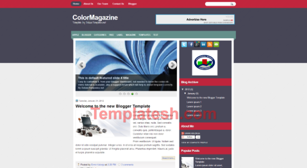 color magazine blogger template
