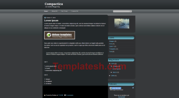 compactica blogger template