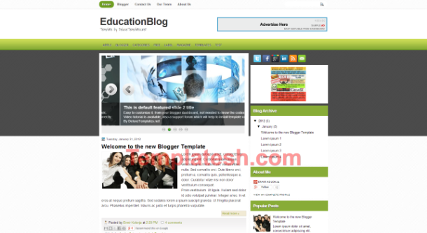 education blog blogger template