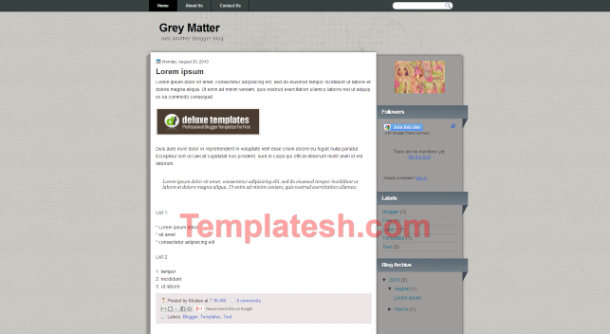 grey matter blogger template