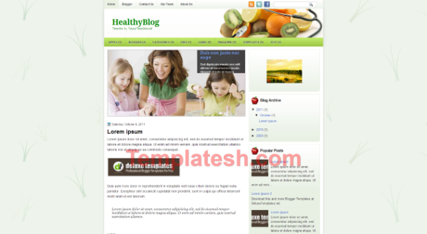 healthy blog blogger template