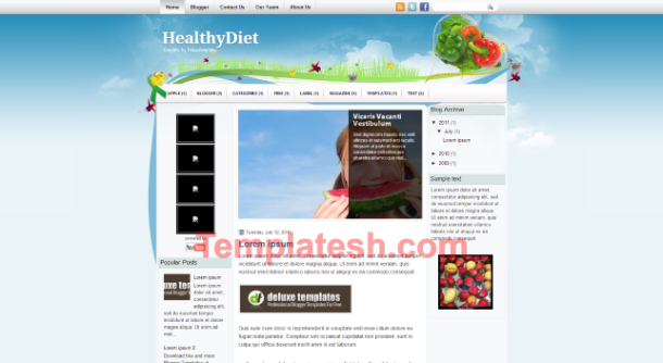 healthy diet blogger template