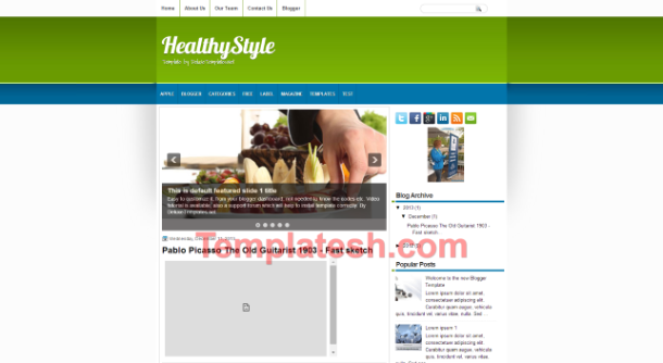healthy style blogger template