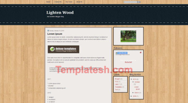 lighten wood blogger template