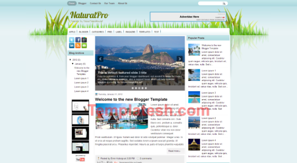 natural pro blogger template