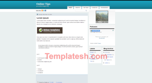 online tips blogger template