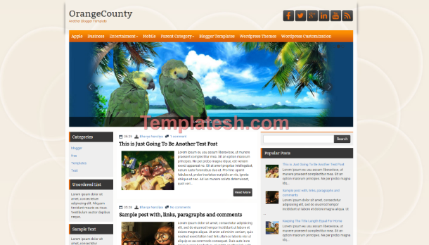 orange county blogger template