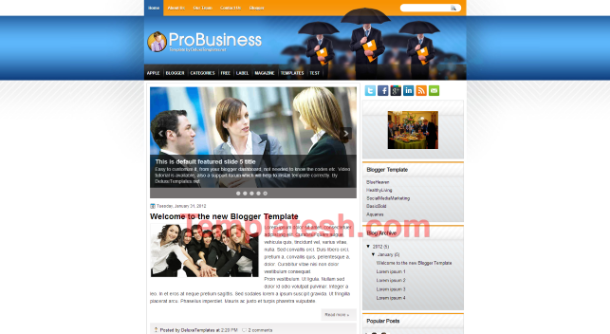 pro business blogger template