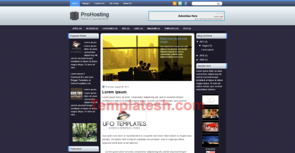pro hosting blogger template