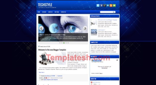 TechStyle