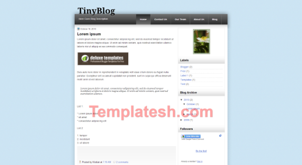 tiny blog blogger template