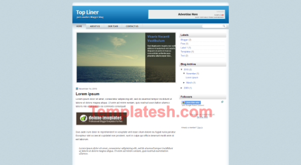 top liner blogger template